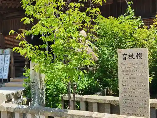 柿本神社の自然