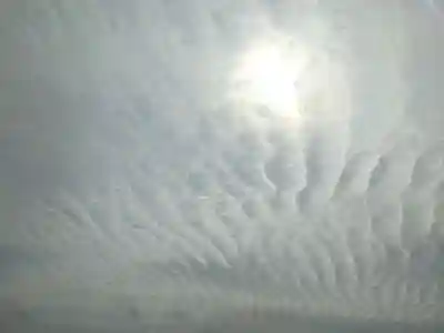 伊豫豆比古命神社(愛媛県)