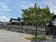 住吉神社の建物その他