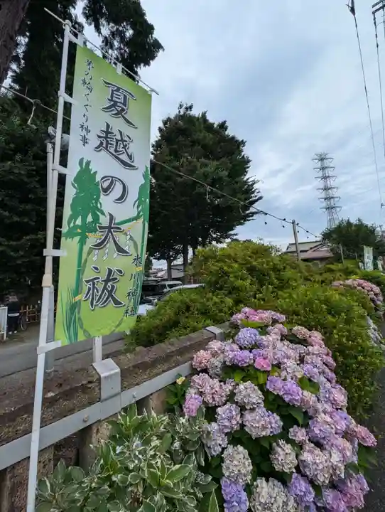 相模原氷川神社の自然