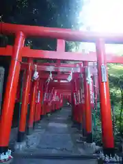 佐助稲荷神社の鳥居