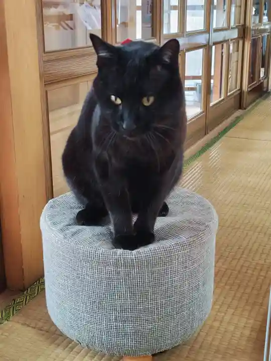 高司神社〜むすびの神の鎮まる社〜(福島県)
