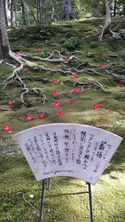 城南宮(京都府)