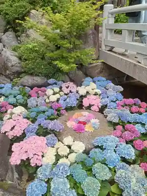 岡寺(龍蓋寺)(奈良県)