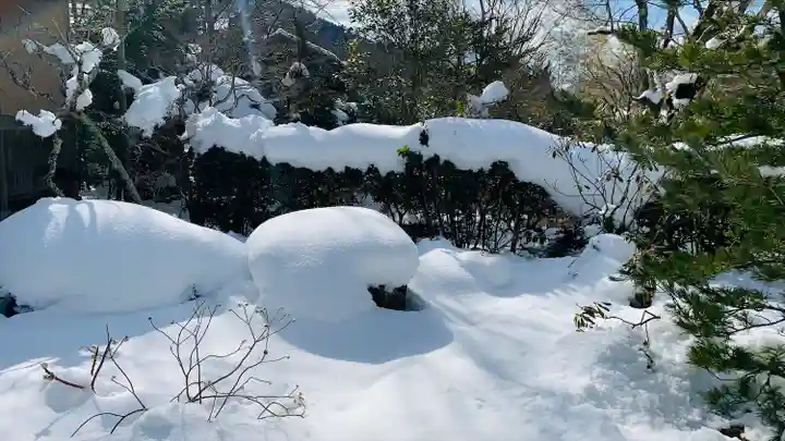宝泉院(京都府)