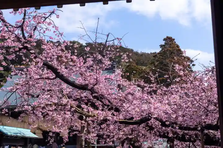 宮地嶽神社(福岡県)