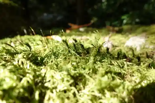 上ノ院本坊　来迎院の自然