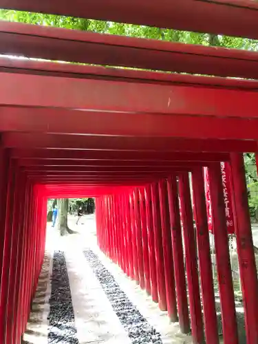 津島神社の鳥居