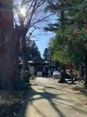 北東本宮小室浅間神社の本殿