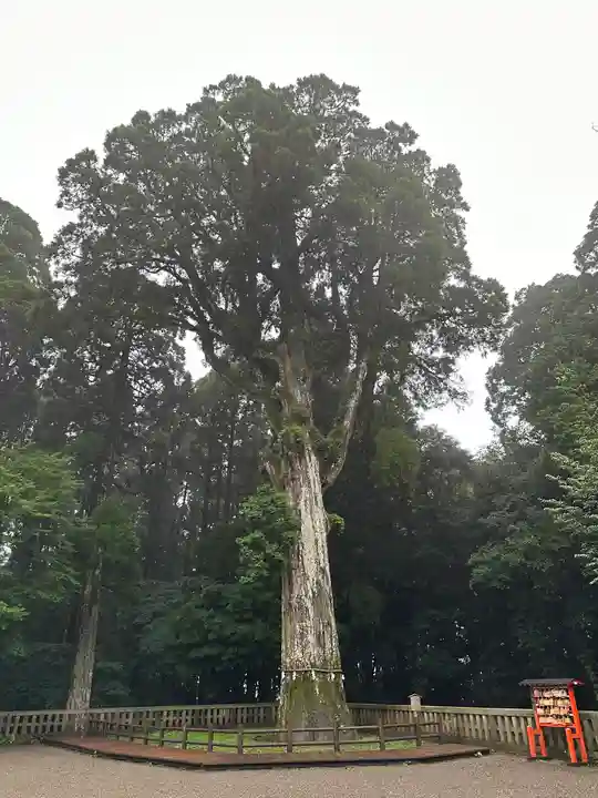 霧島神宮(鹿児島県)