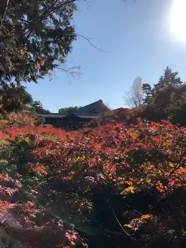 東福禅寺（東福寺）の自然