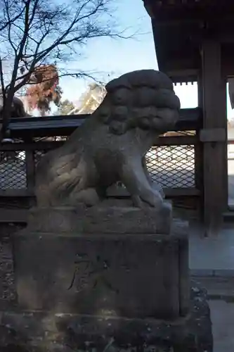 須賀神社の狛犬