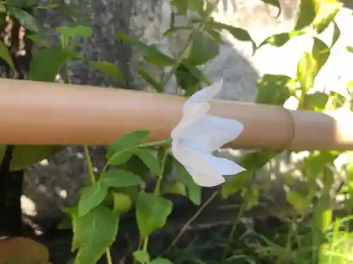 晴明神社(京都府)