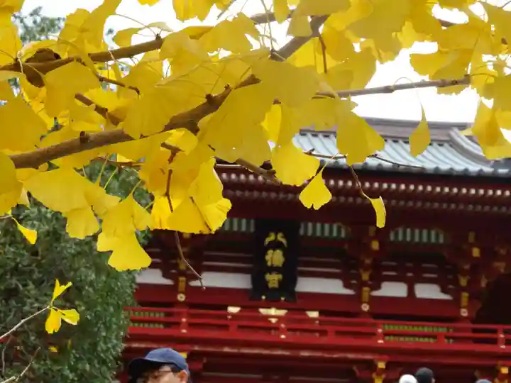 鶴岡八幡宮(神奈川県)