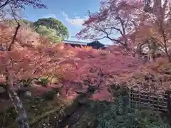 東福禅寺（東福寺）(京都府)