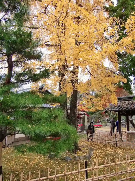 清凉寺(京都府)