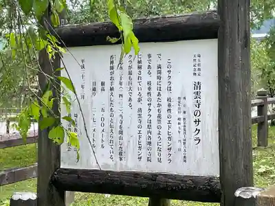 清雲寺(埼玉県)