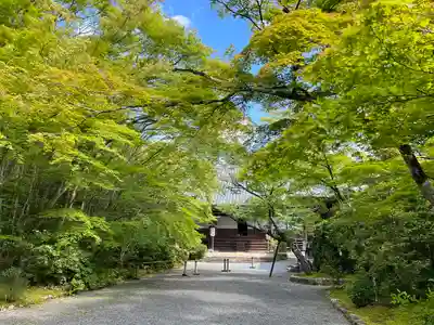 常照寺(京都府)