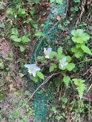 日龍峯寺(高澤観音)(美濃清水)(岐阜県)
