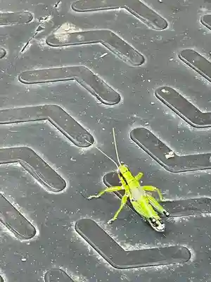 由仁神社(北海道)