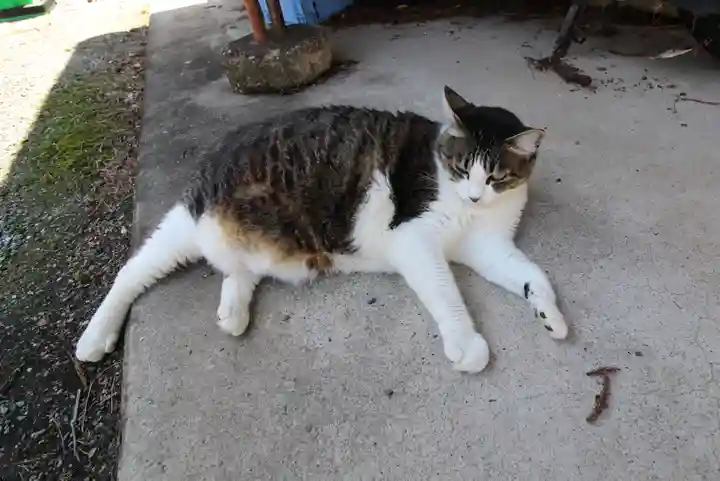 山梨縣護國神社(山梨県)