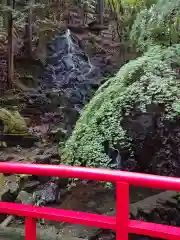 猿田彦三河神社の自然