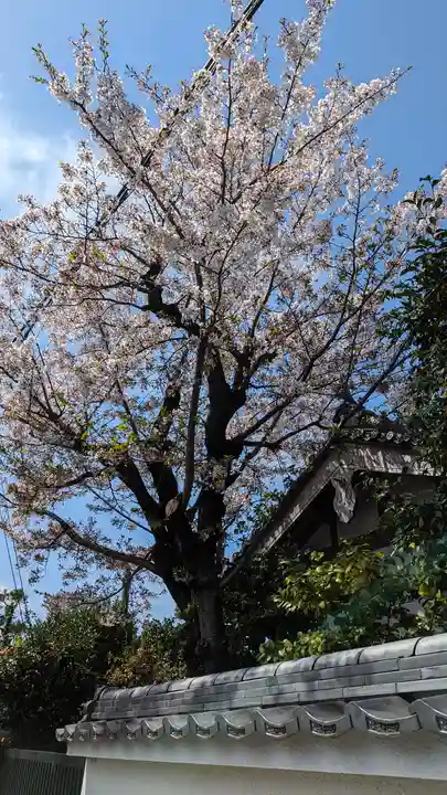浄安寺(京都府)