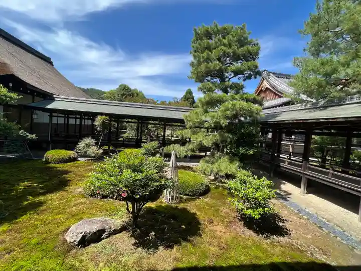 大覚寺(京都府)