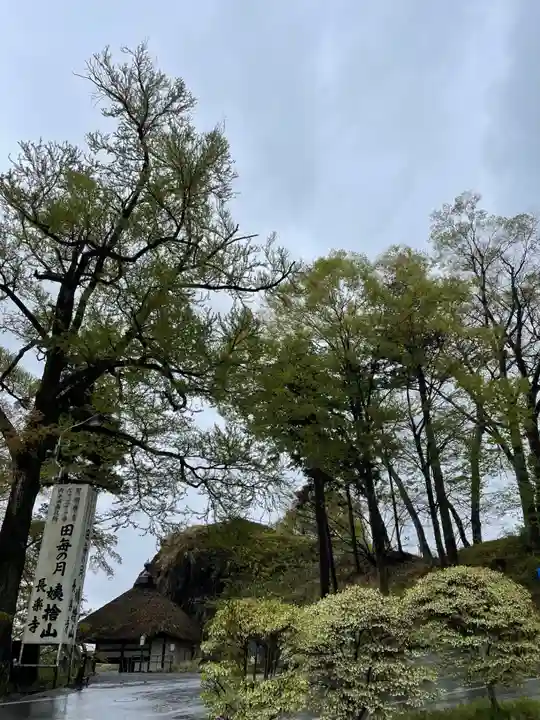 長楽寺(長野県)
