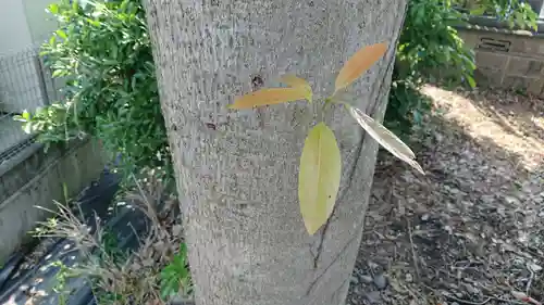 長慶寺(静岡県)