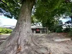 八幡神社(奈良県)