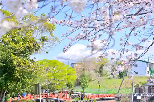 富士山本宮浅間大社(静岡県)