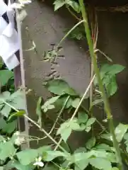 赤城神社(千葉県)