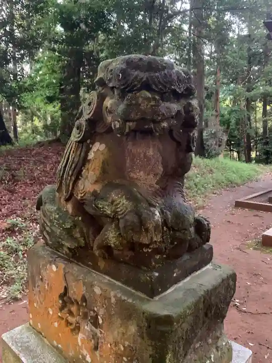 白幡神社の狛犬
