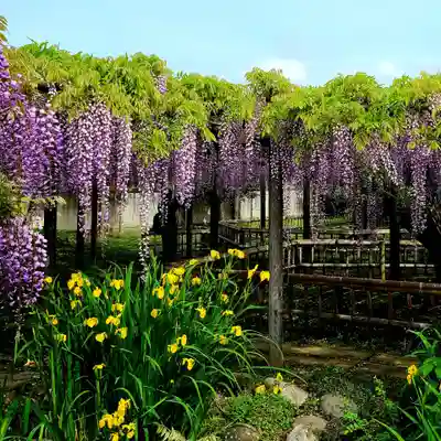 行興寺(静岡県)