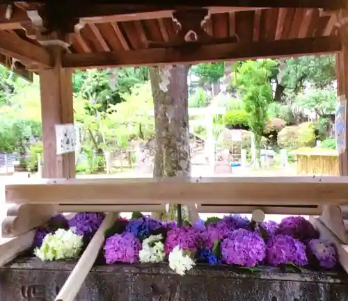 鳩森八幡神社の手水舎