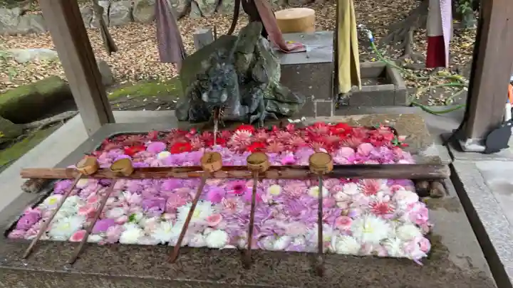 清洲山王宮 日吉神社の{uncategorized: "未分類", other: "その他", undefined: "問題あり", building: "その他建物", grave: "お墓", sacred_gate: "鳥居", guardian: "狛犬", statue: "像", buddha: "仏像", history: "歴史", nature: "自然", garden: "庭園", animal: "動物", pagoda: "塔", temizu: "手水舎", mountain_gate: "山門・神門", sanctuary: "本殿・本堂", subordinate: "末社・摂社", art: "芸術", scenery: "景色", jizo: "地蔵", ema: "絵馬", goshuin: "御朱印", omikuji: "おみくじ", items: "授与品その他", amulet: "お守り", goshuincho: "御朱印帳", eats: "食事", festival: "お祭り", votive_dance: "神楽", shichigosan: "七五三参", wedding: "結婚式", experience: "体験その他", initially: "初詣", around: "周辺", anti_infection: "感染症対策"}