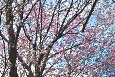潮見ヶ岡神社(北海道)