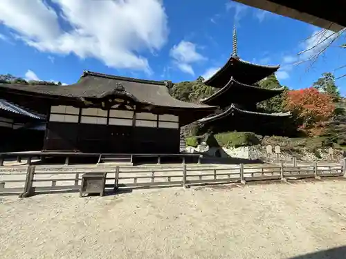 園城寺（三井寺）(滋賀県)