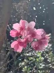 葛木御歳神社(奈良県)