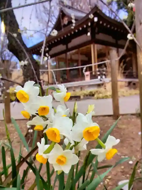 鳩森八幡神社(東京都)
