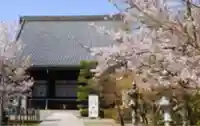 光明寺(粟生光明寺)の本殿・本堂