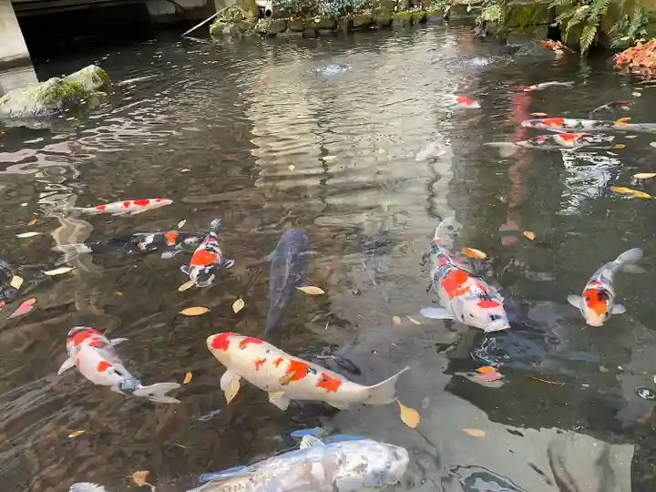 子安神社(東京都)