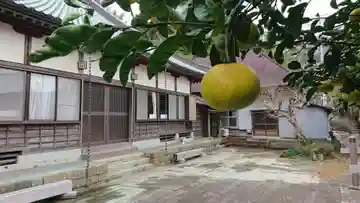 旭洞院(静岡県)