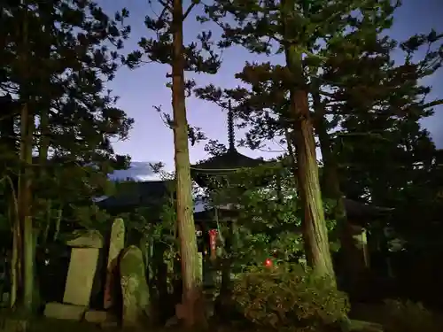 智恩寺(京都府)