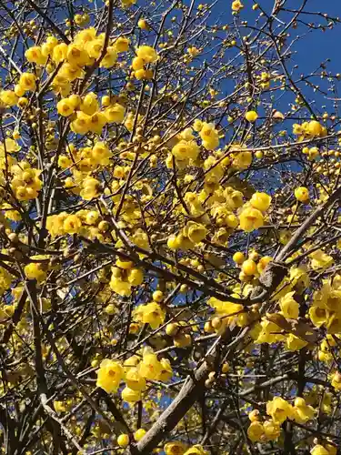 横浜　西方寺の自然