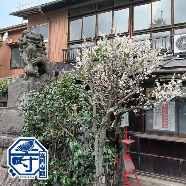 高円寺天祖神社(東京都)