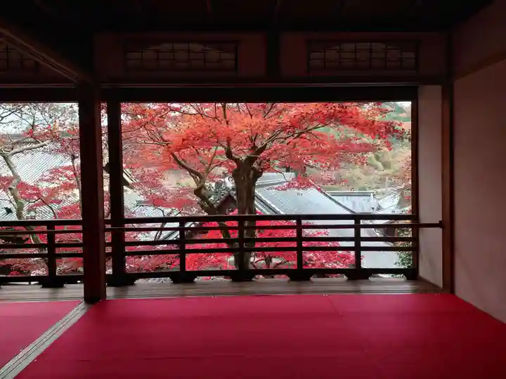 柳谷観音 楊谷寺(京都府)