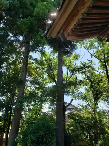 宮川神社の自然