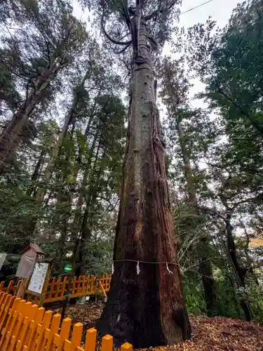 高千穂神社(宮崎県)